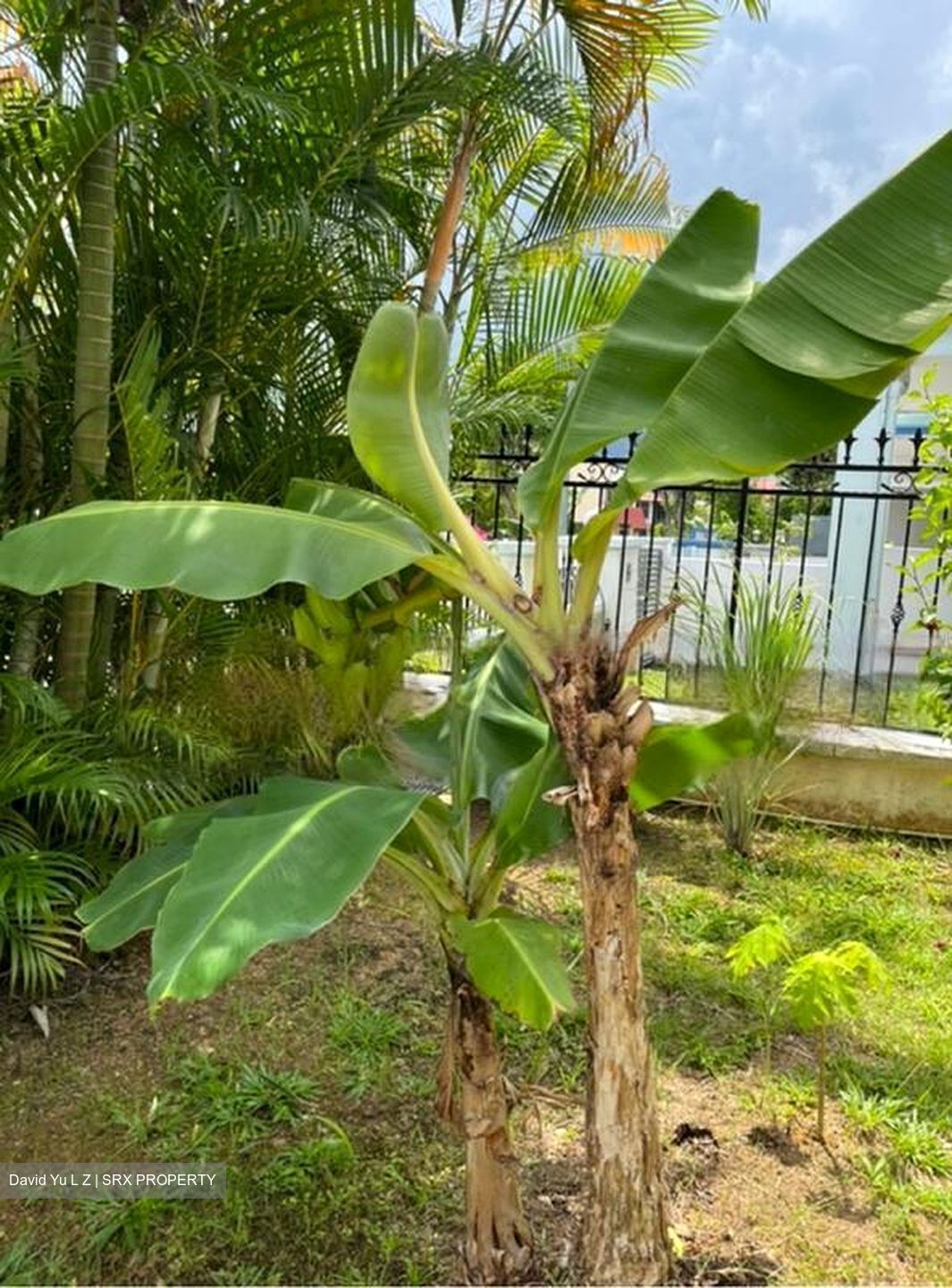 Lorong Marican (D14), Terrace #425099571